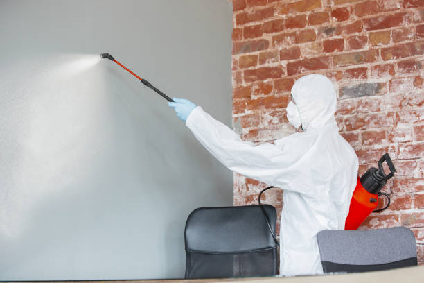 Best Mold Removal for HVAC Installations  in Moncks Corner, SC