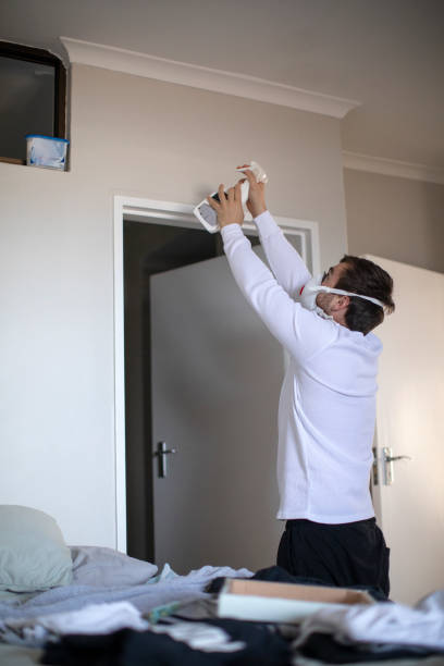 Best Mold Damage Restoration  in Moncks Corner, SC