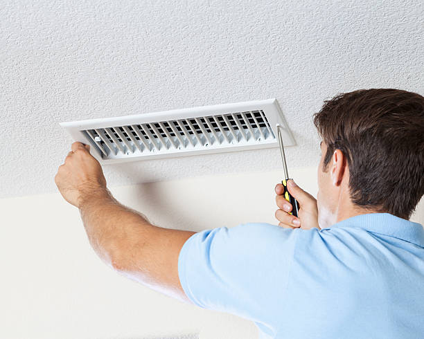 Trusted Moncks Corner, SC Mold Removal Experts