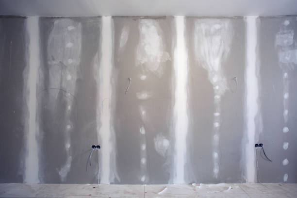 Best Post-Remediation Verification Testing  in Moncks Corner, SC